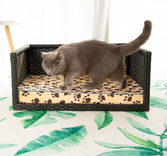 Fancy Rattan Dog Bed